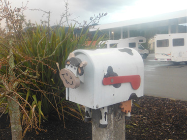 Mailboxes are customized around the country