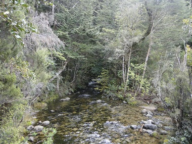 River in Te Anau's island