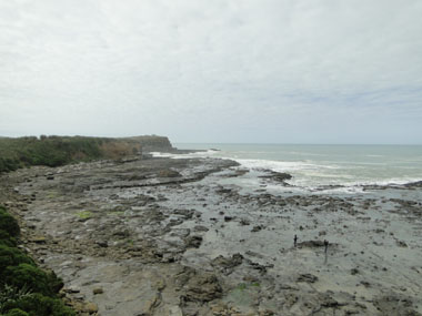 Curio Bay