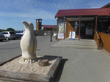 Entrance to Blue Penguin colony