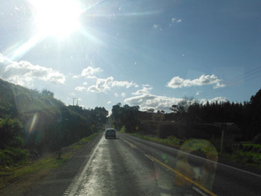 Driving wrong to Rotorua
