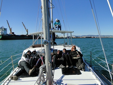 Sailing in search of dolphins