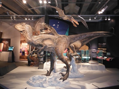Dinosaurs in Te Papa Museum