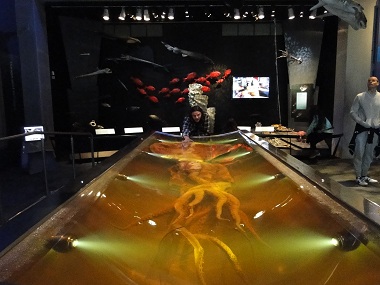 Giant squid in Te Papa Museum