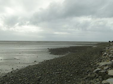 Beach in low tide