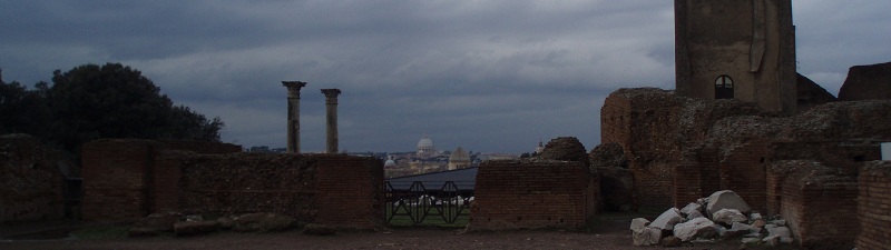 View from Palatine