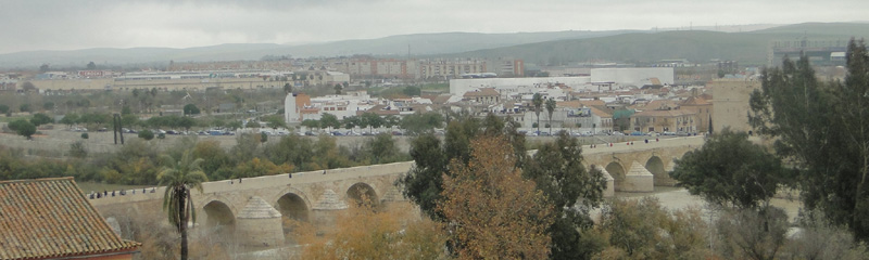 Vistas del puente romano desde el Alcázar