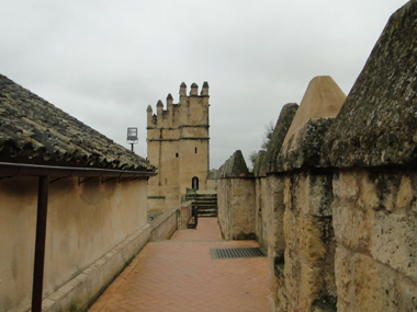 Over the walls of the Alcazar of Cordoba