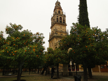 Courtyard of the orange trees