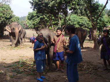 Alimentando a los elefantes