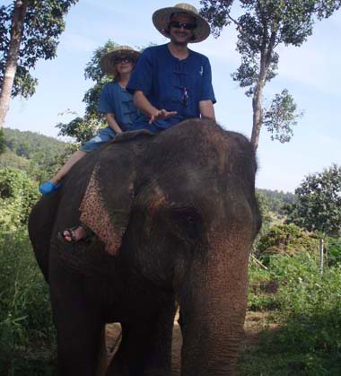Riding an elephant