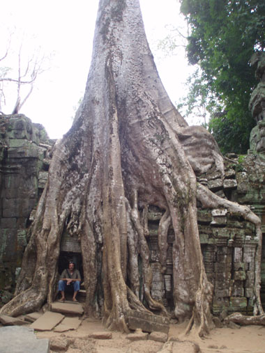 Ta Prohm in Ang Kor