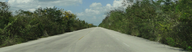 Endless straight roads in Yucatan