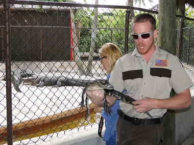 Ranger con una cría de aligator