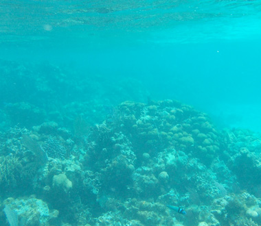 Belizean barrier reef