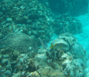 Belize barrier reef