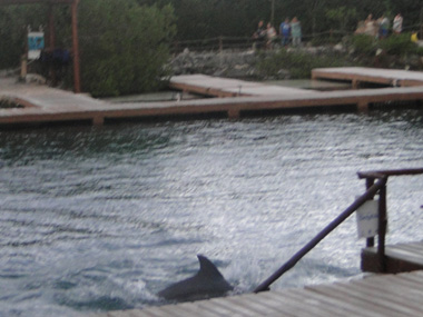 Dolphinarium in Xel Ha