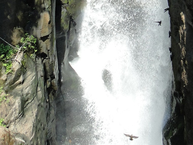 Rock birds at Alvar Nuñez waterfall