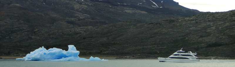Icebergs in Lago Argentino