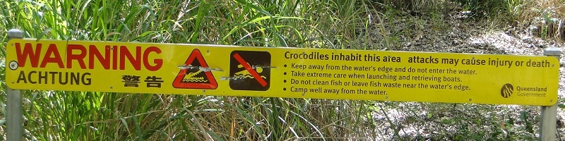 Crocodile warning on beaches