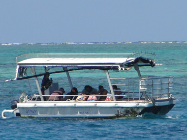 Seastar's bottom glass boat