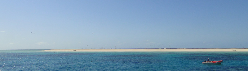 Michaelmas Cay