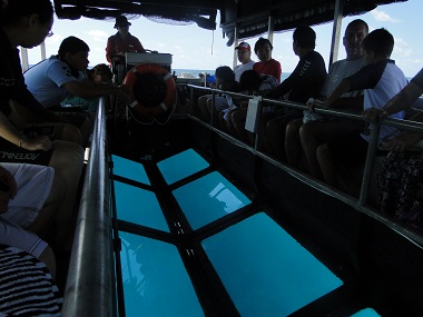 Barca con fondo de cristal de Reef Magic