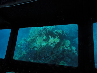 Reef view from Reef Magic's bottom glass boat