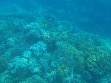 Inside Reef Magic's semi-submersible