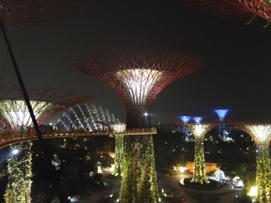 Skyway at Gardens by the Bay