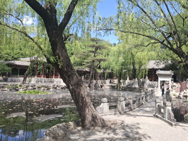 Garden of Harmonious Interests