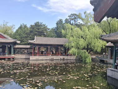 Garden of Harmonious Interests