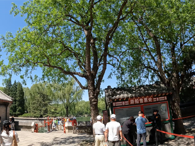 Ticket box for boats in Summer Palace