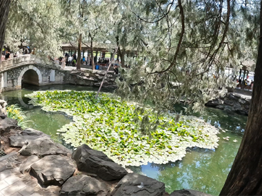 Walking around the Summer Palace