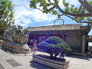 Walking around the Summer Palace