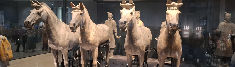 Exhibit Hall in Terracota Warriors