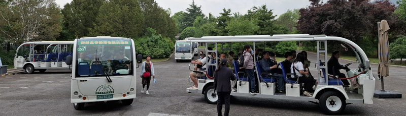 Buses to Terracota Warriors pits