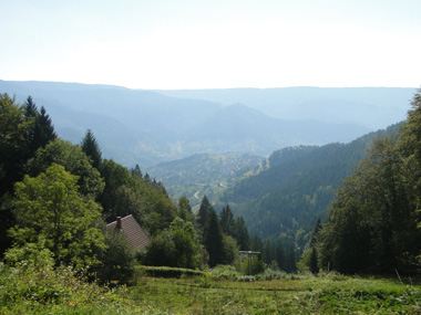 Black Forest view
