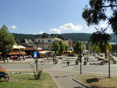 Titisee Town