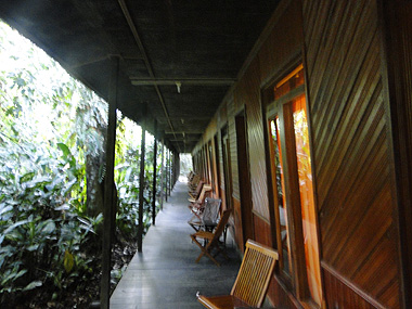 Rimba Eco Lodge