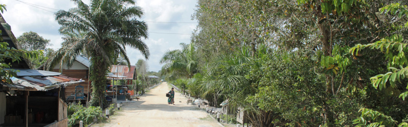 Sungat Sekonyer Village