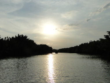 Paisaje de Tanjung Puting