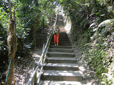 Escaleras a las Cascadas Nungnung