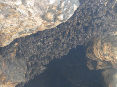 Goa Lawah o cueva de los murcilagos