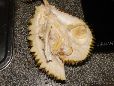 Durian abierto