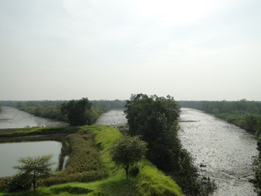 View from Sughanyakhali watch tower