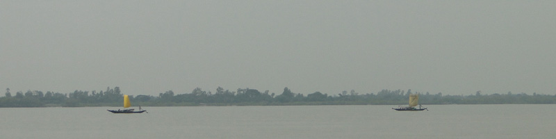 Sundarbans landscape