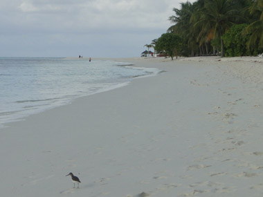 Playa de Kuredu