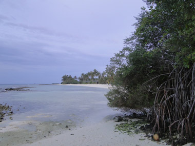Northern beach of Kuredu