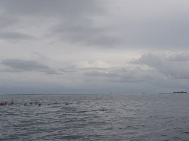 Group at water searching manta ray